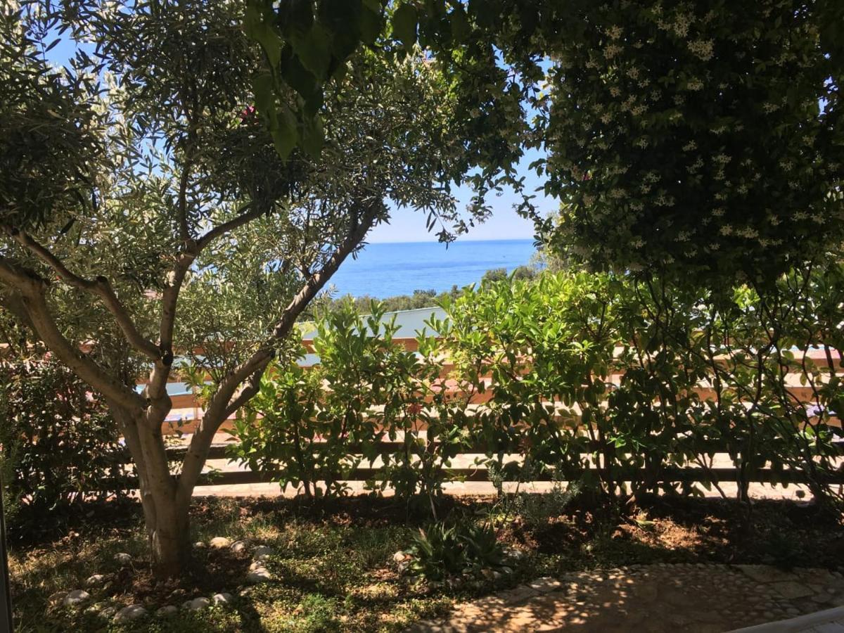 Olives Residence Dhërmi エクステリア 写真