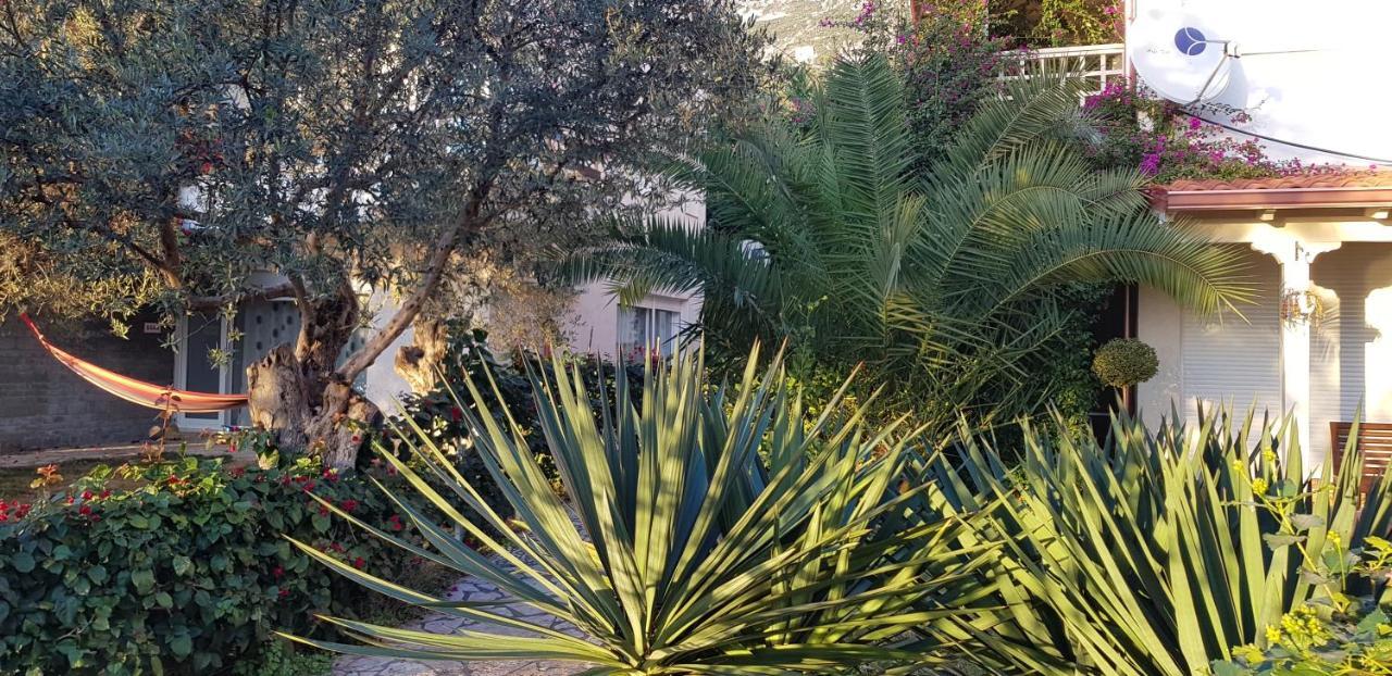 Olives Residence Dhërmi エクステリア 写真