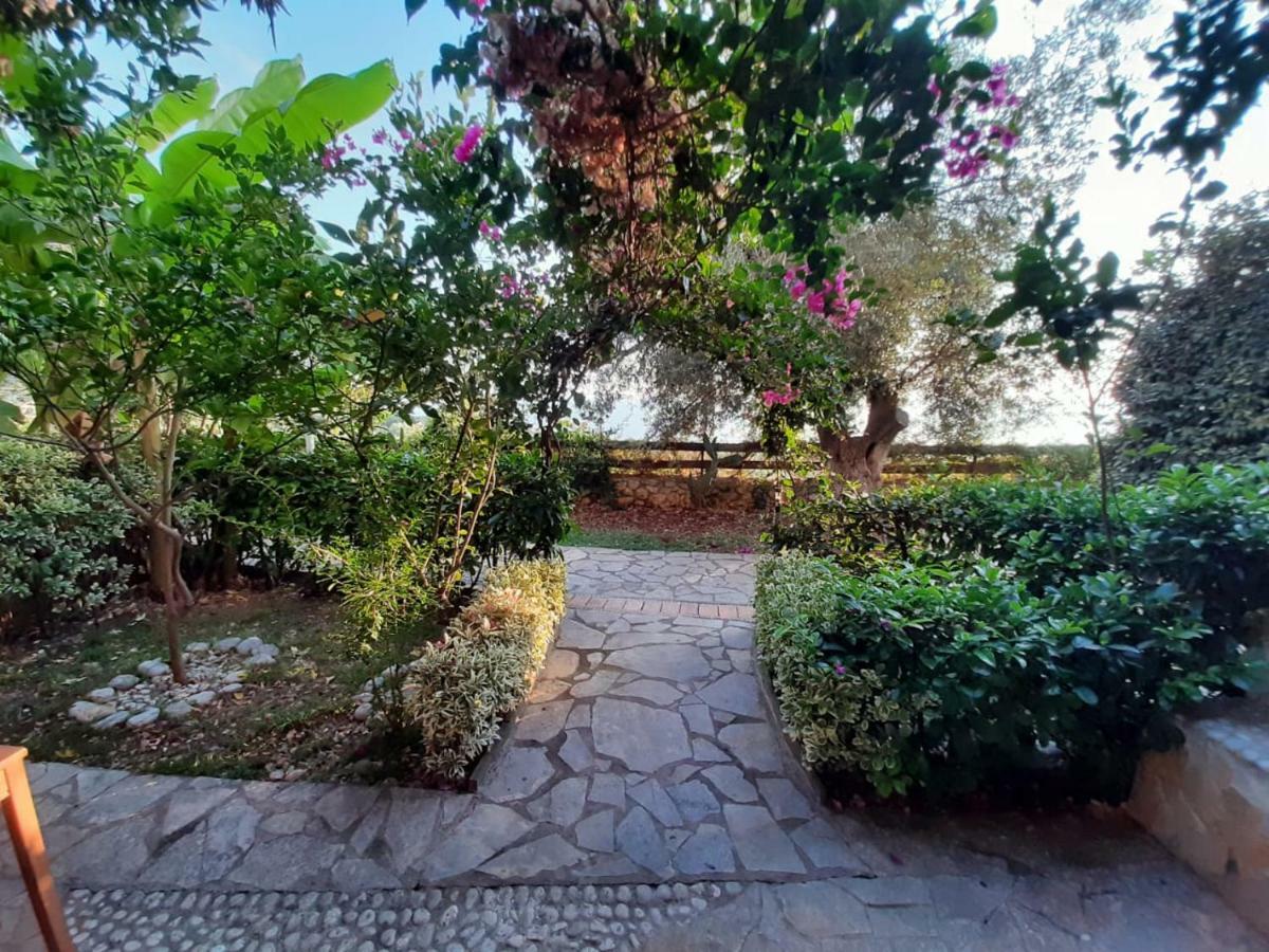 Olives Residence Dhërmi エクステリア 写真