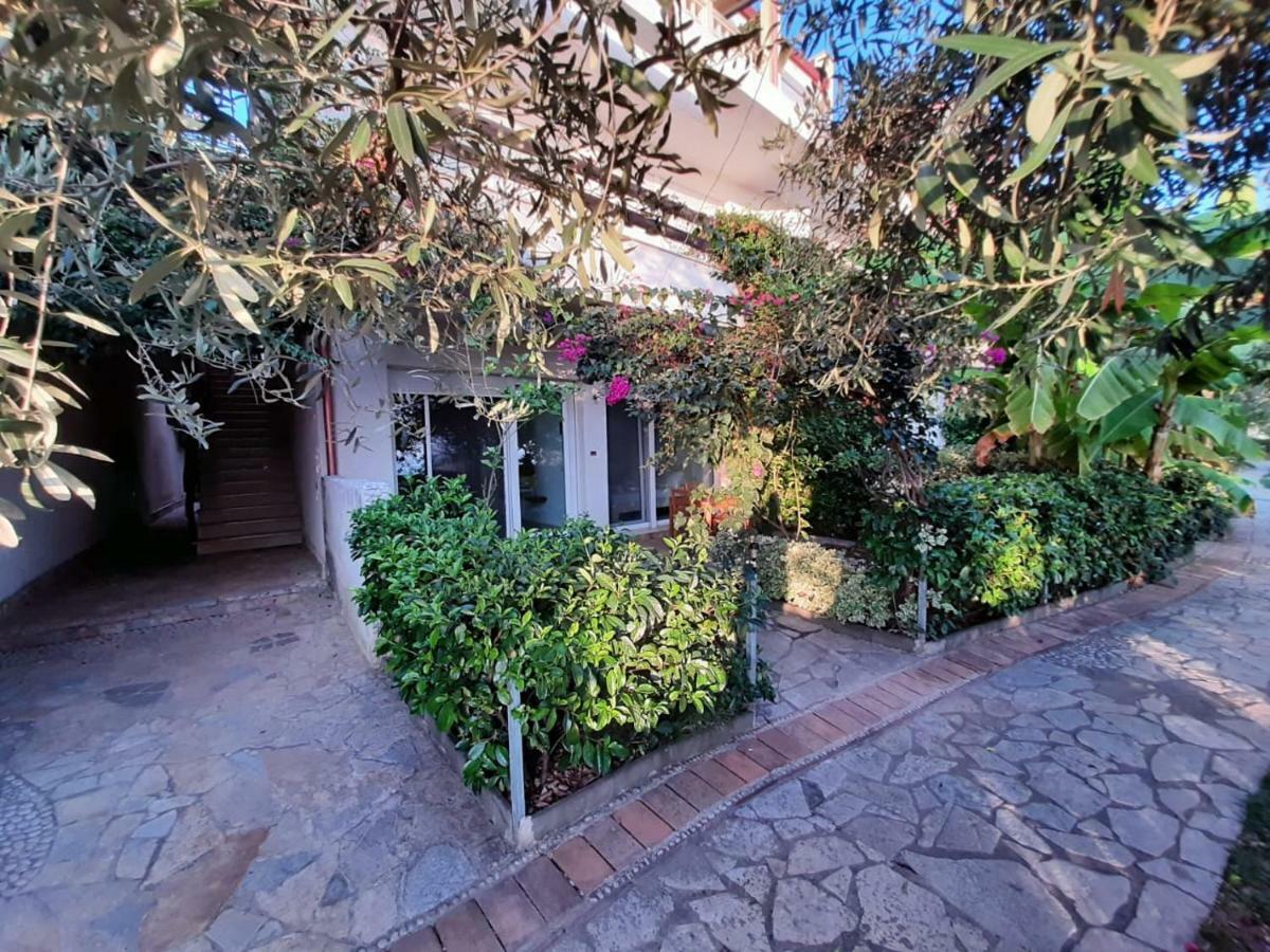 Olives Residence Dhërmi エクステリア 写真