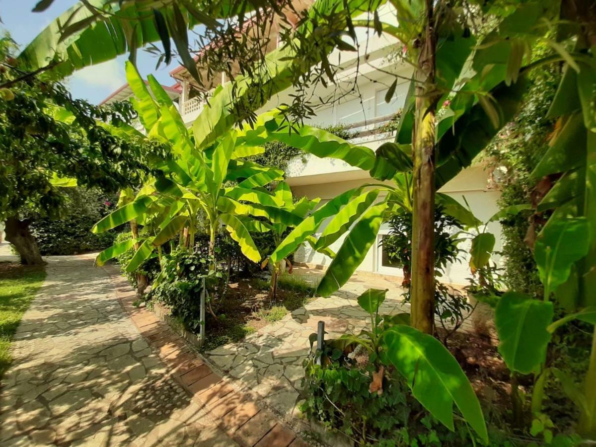 Olives Residence Dhërmi エクステリア 写真